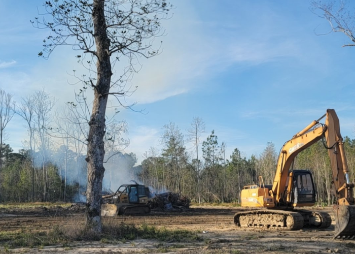 land clearing livingston la